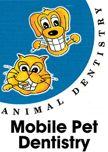 mobile pet dentistry sunshine coast queensland